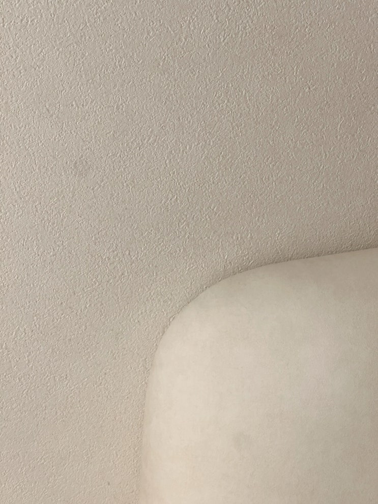  전세사기 피해자가 결국 집을 샀습니다