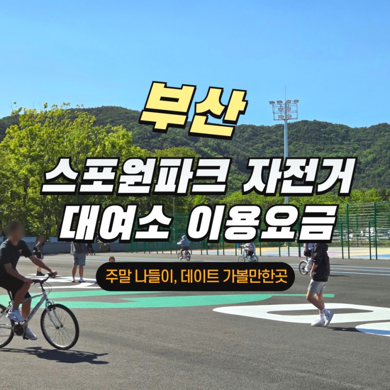 사진 5