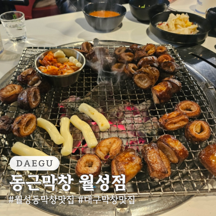  월성동 막창 맛집 대구 막창 맛집 동근막창 월성점