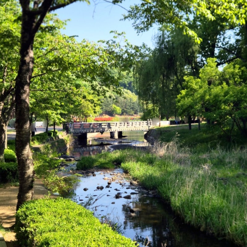 사진 7