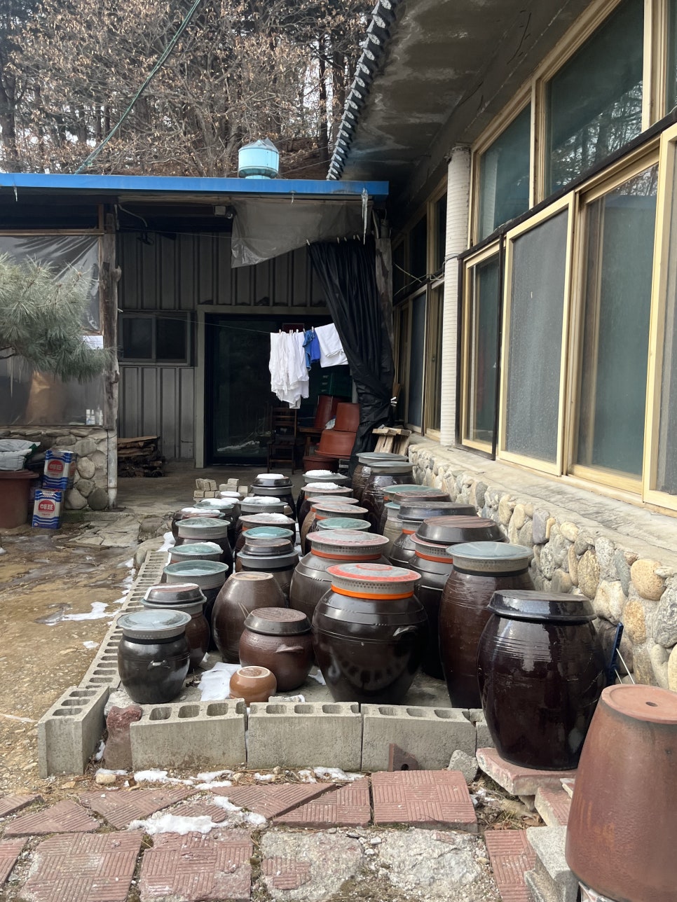 대복순두부 사진 3