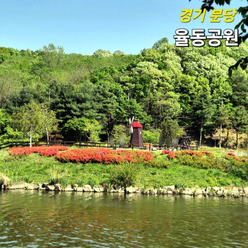 사진 6