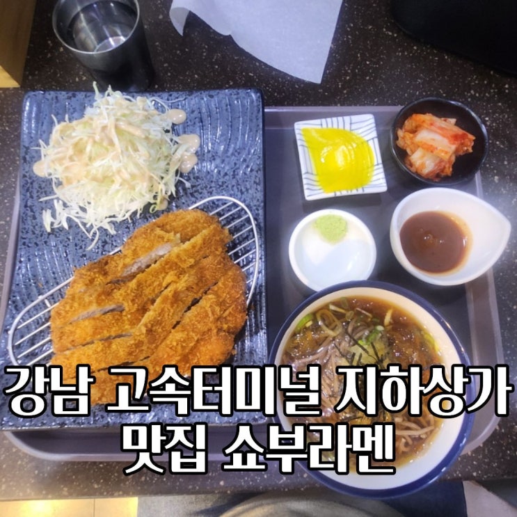  고투몰 혼밥 강남 고속버스터미널 지하상가 맛집 쇼부라멘