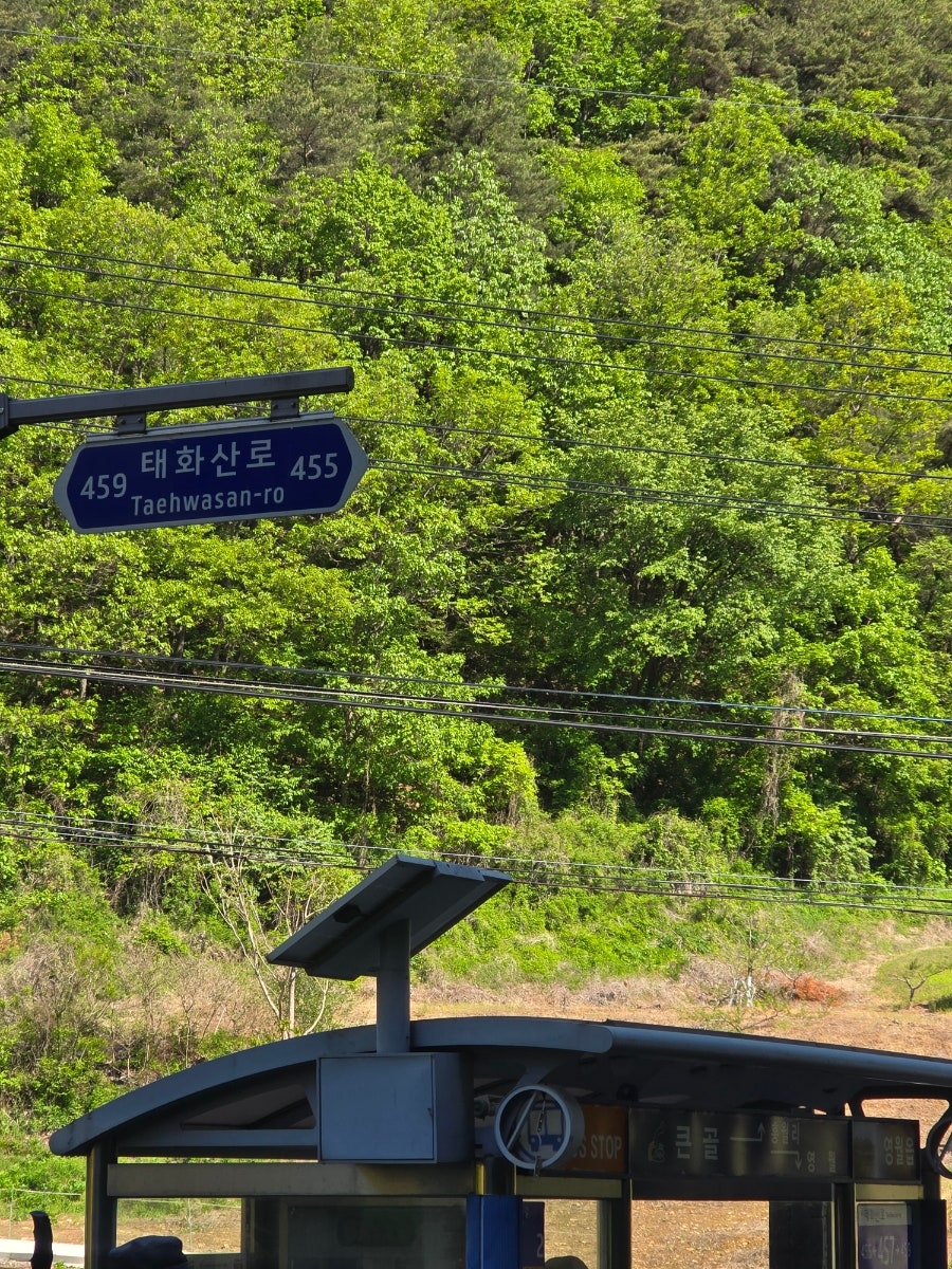 큰골