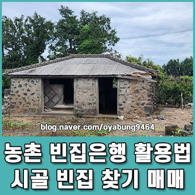 농촌 빈집은행 활용법 시골 빈집 찾기부터 안전한 매매 절차까지
