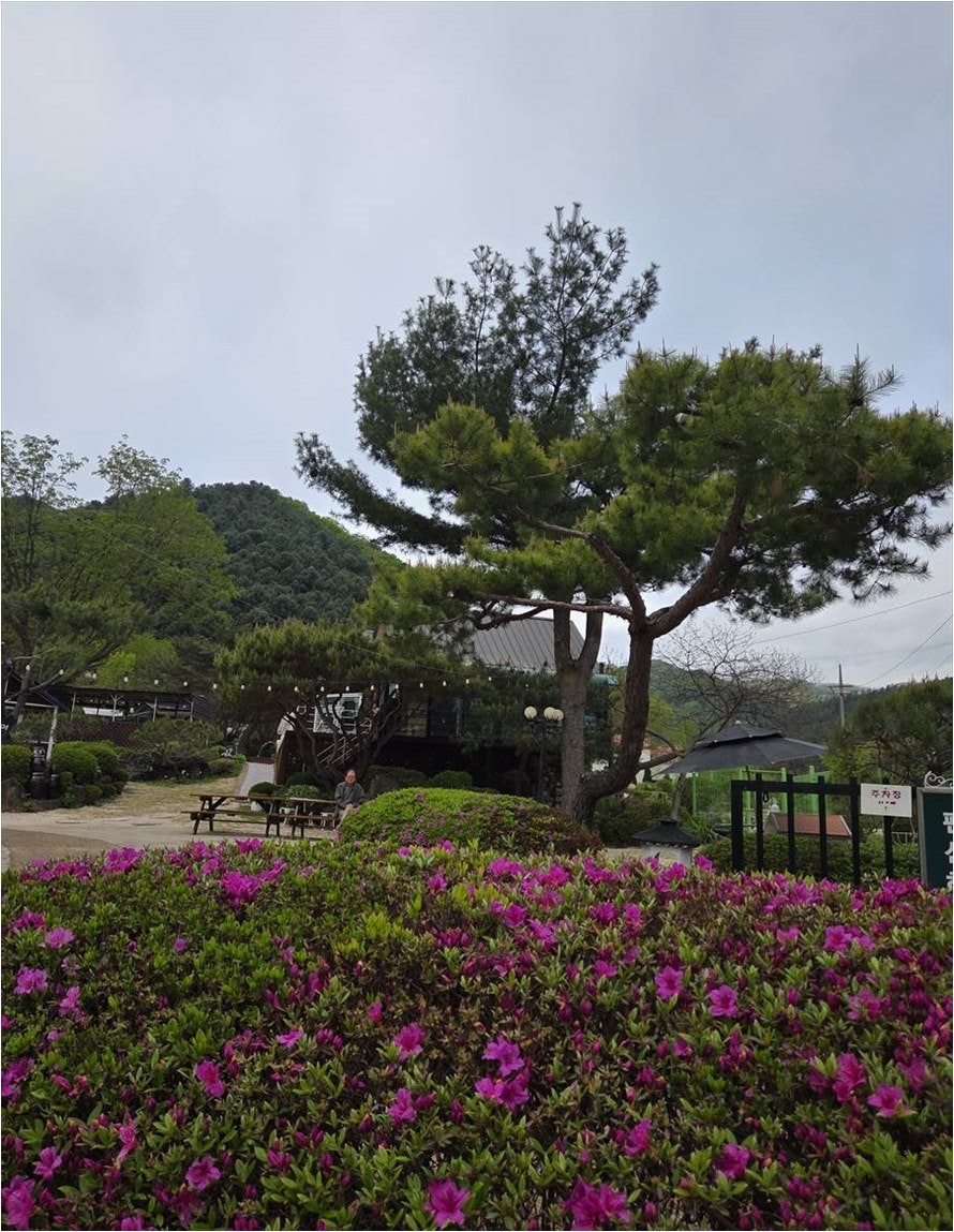 Pensyeonhai photo 6