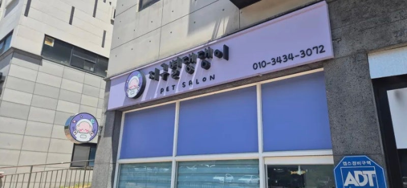 지구별댕댕이