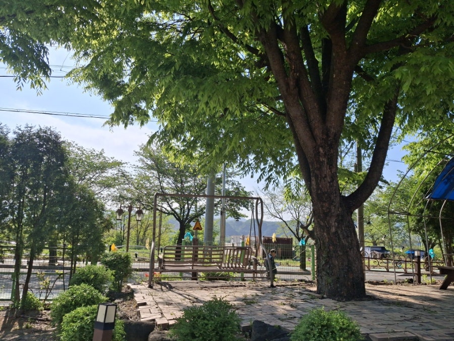Wanguijataekpensyeon photo 4