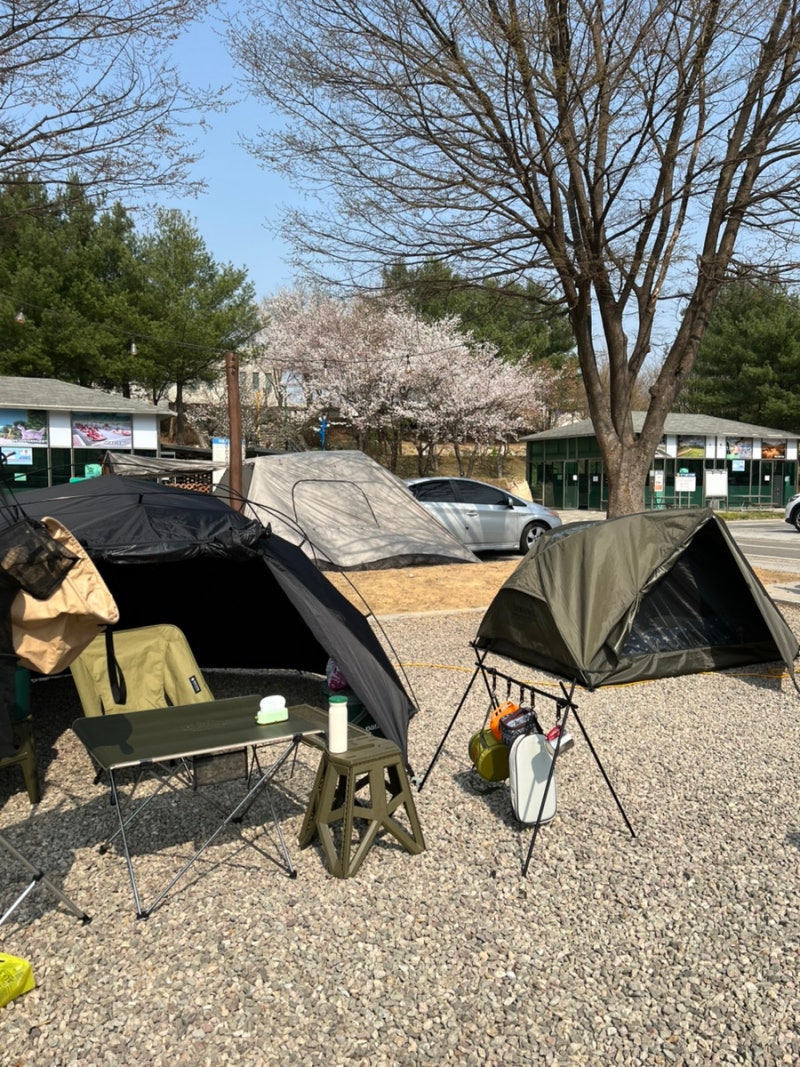 연천 한탄강 관광지 오토캠핑장 솔캠 기록, 사이트 추천