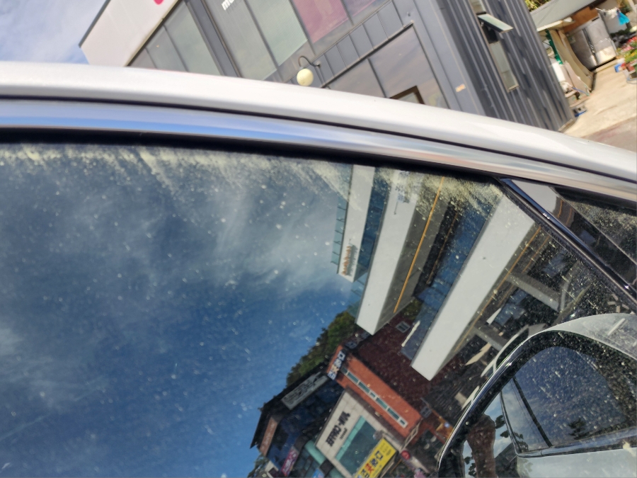해운대31cm해물칼국수 포항영일대점 사진 6