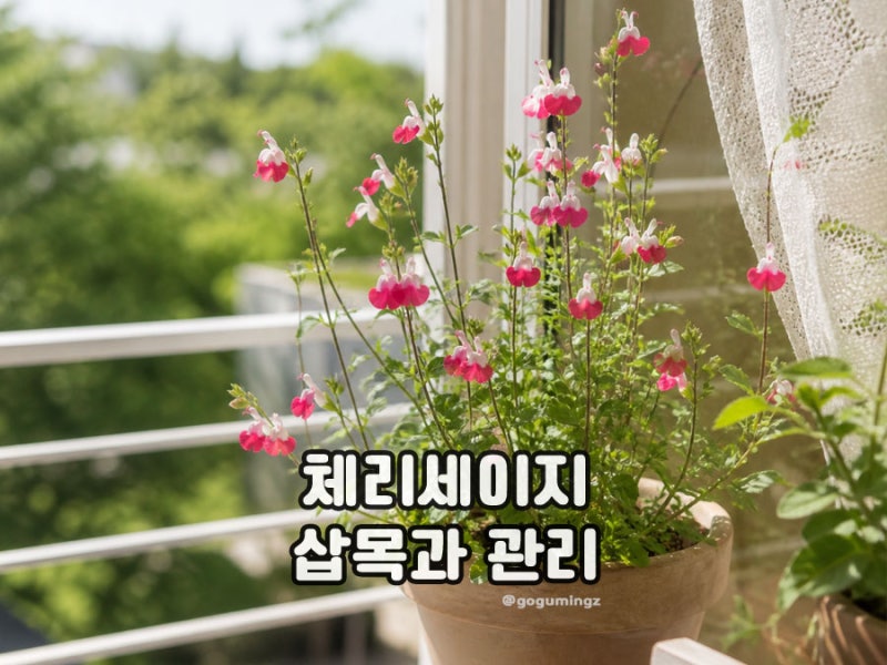 사진 3