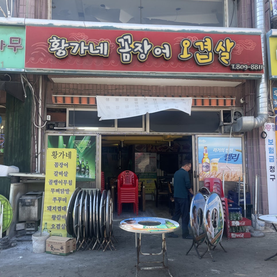 황가네꼼장어 사진 2