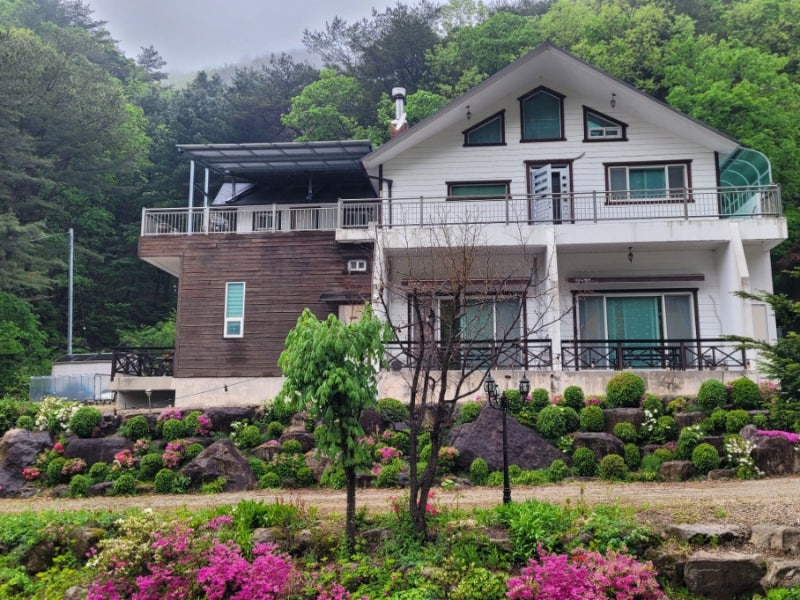 사진 5