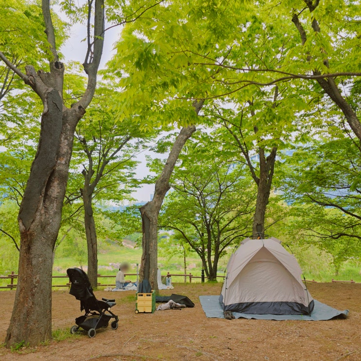  판교 화랑공원 그늘막 텐트 설치 허용구역 경기도 성남 당일 피크닉 장소 추천