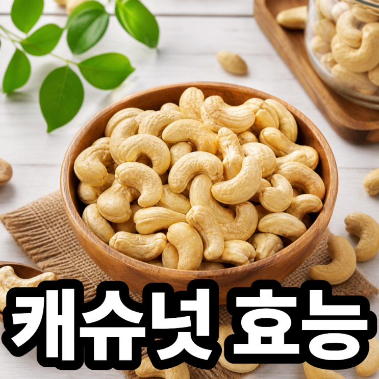  캐슈넛 효능 총정리  건강·다이어트까지 한 번에