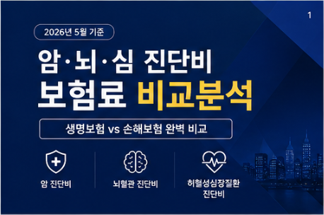 60세·50세·40세·30세 암 뇌 심장 진단비 비교/생명보험 vs 손해보험 어디가 유리한가