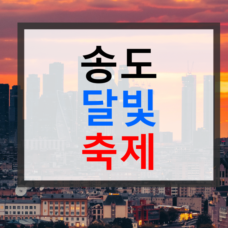 사진 8