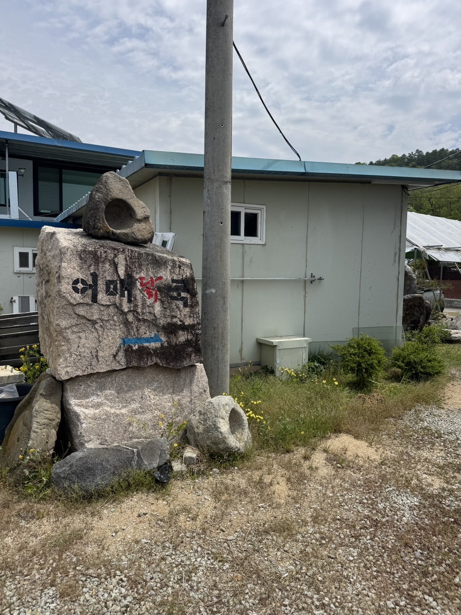 어매닭국 사진 3