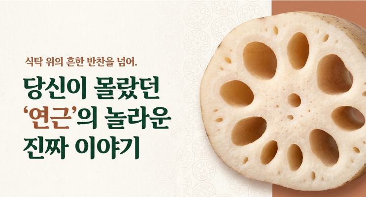  고이우림 유기농 연근으로 만든 연근차! 알고 드시면 더 좋습니다