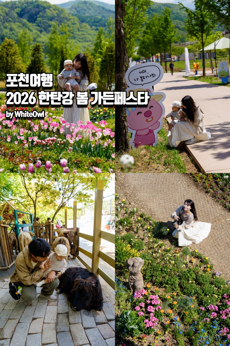  포천가볼만한곳 2026 한탄강 봄 가든페스타 여름 오기 전 경기도 축제