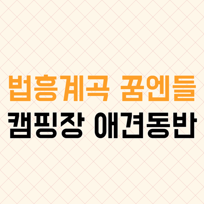 사진 3