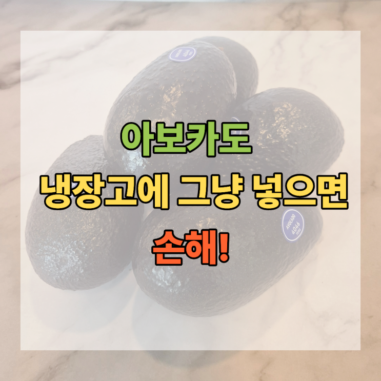  아보카도 냉장고에 그냥 넣으면 손해! 후숙·보관법 총정리
