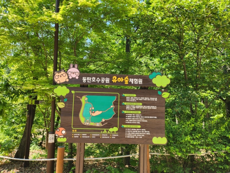 동탄호수공원 유아숲체험원 후기｜무료 주차 꿀팁 + 아이 놀거리 총정리