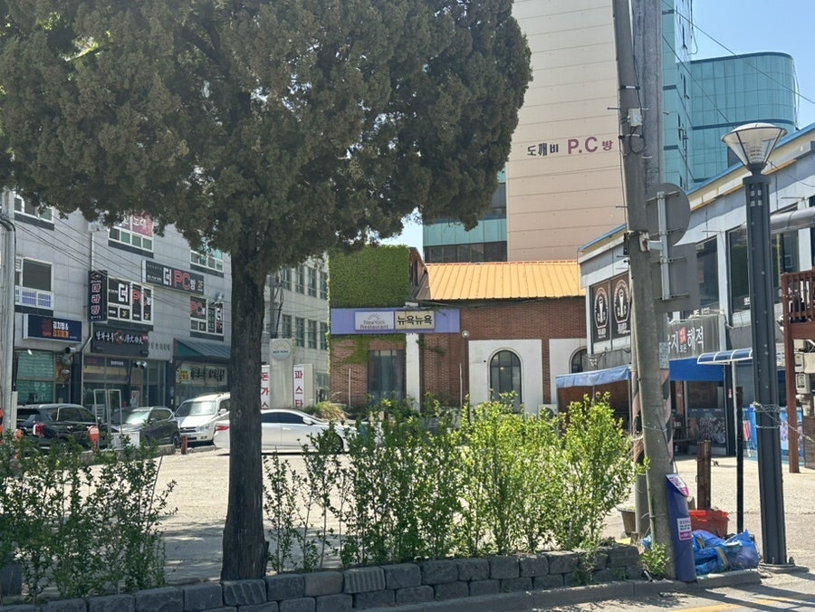 뉴욕뉴욕 사진 2