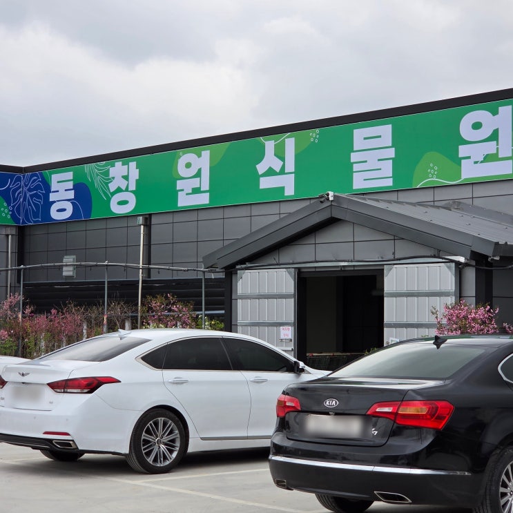  매년 봄에 들리는 동창원식물원에서 나무, 꽃 구경
