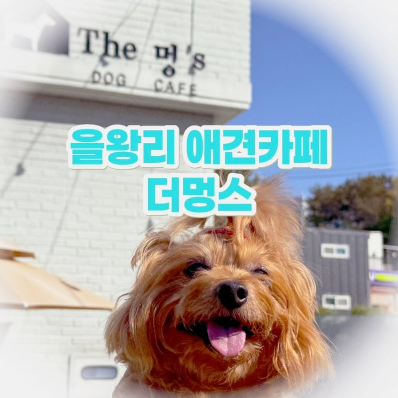 더멍스 을왕리 본점