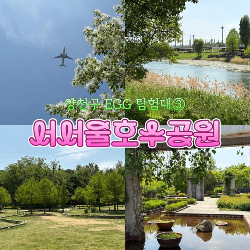 사진 4