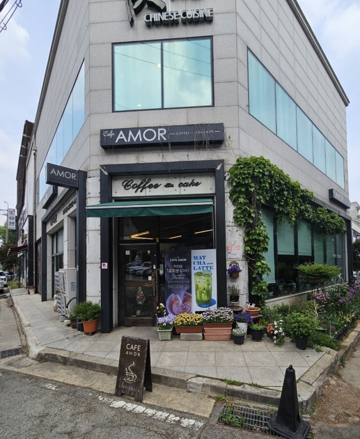  [내돈내산] 천안커피 카페 아모르 방문후기!!