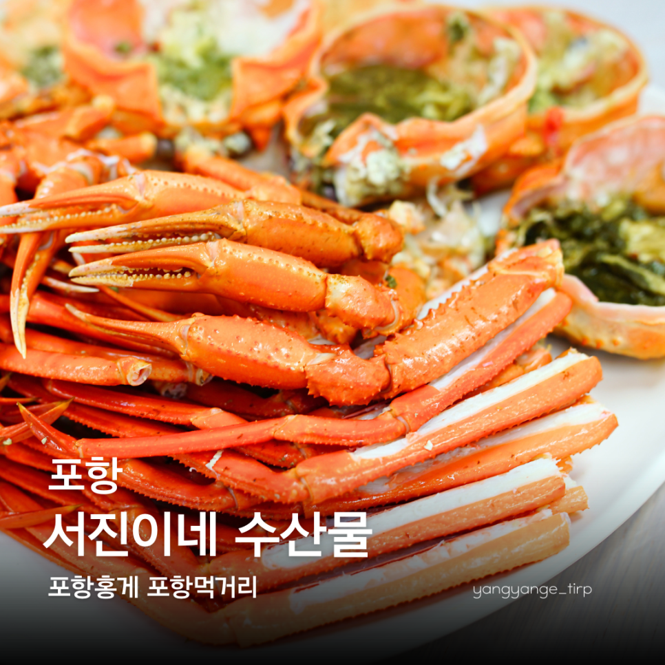 영포회타운 사진 1