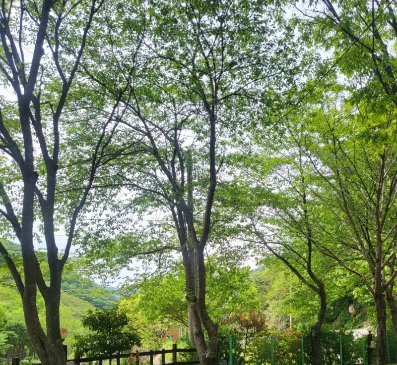 청수가든