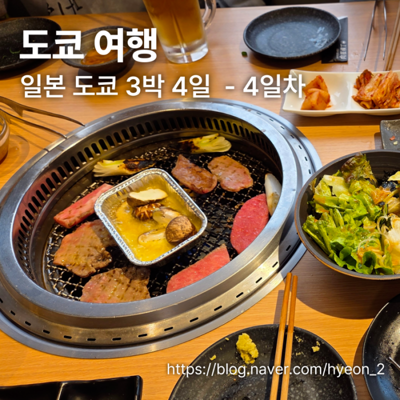 [도쿄 여행] 일본 도쿄 여행 3박 4일 4일차 | 루미네 칼디, 니쿠야 요코초(야키니쿠 무한리필), ....