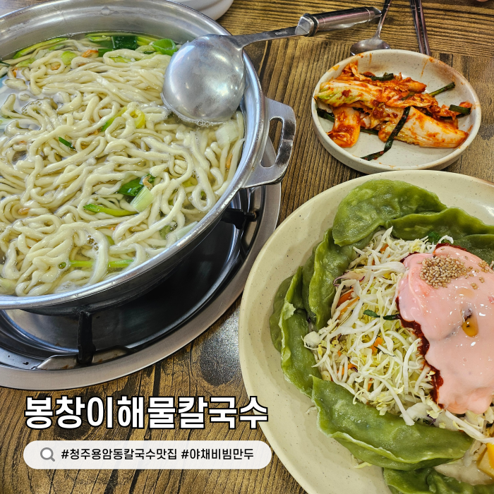 청주 용암동 봉창이 해물칼국수 비빔만두 조합 추천