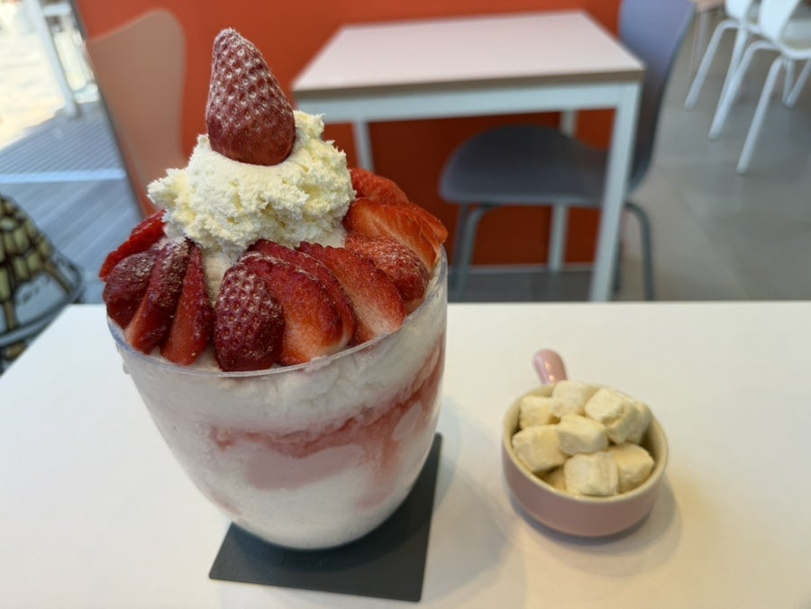 대설 관저점 사진 6