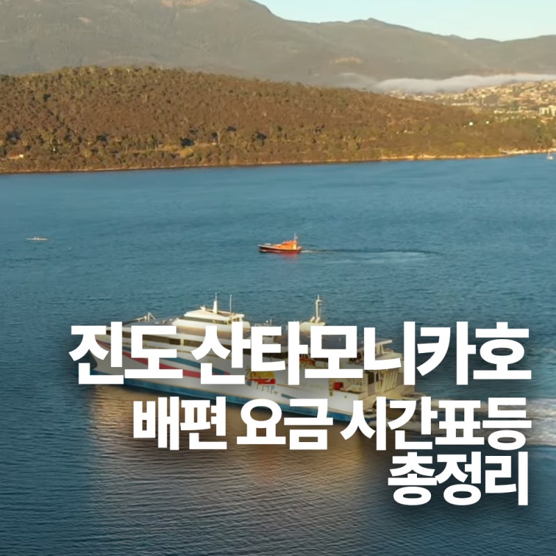 진도 산타모니카호 제주도 배편 시간표 및 요금 알려드려요 애견 및 차량선적까지!