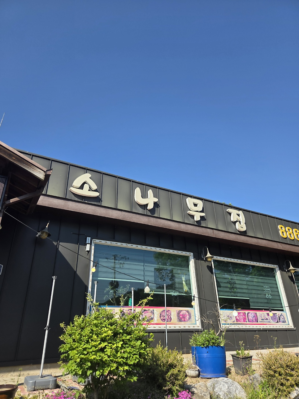 소나무집 사진 1