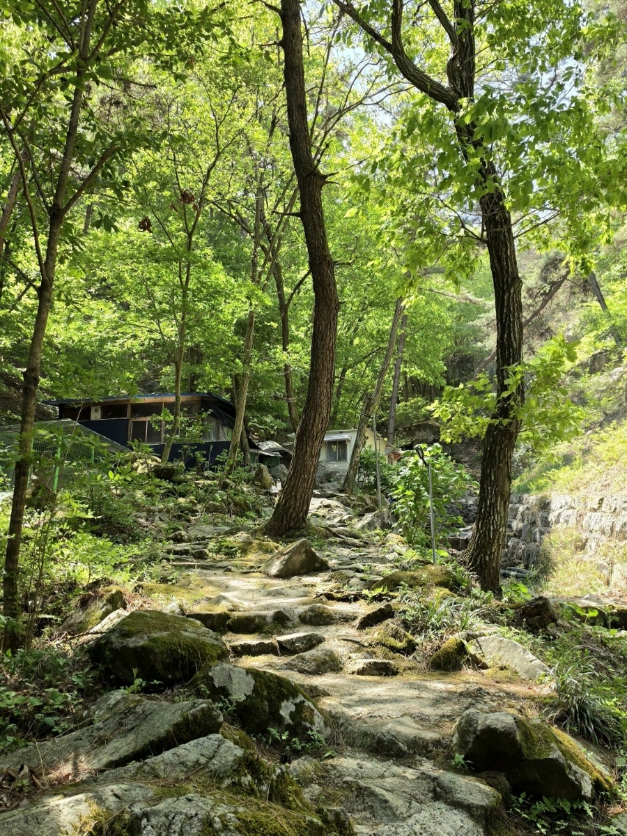 천비산 사진 6