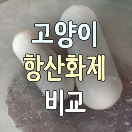 고양이 항산화제 영양제 비교·분석 & 고양이 항산화 영양제 추천
