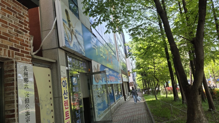 목포갯벌낙지 사진 2