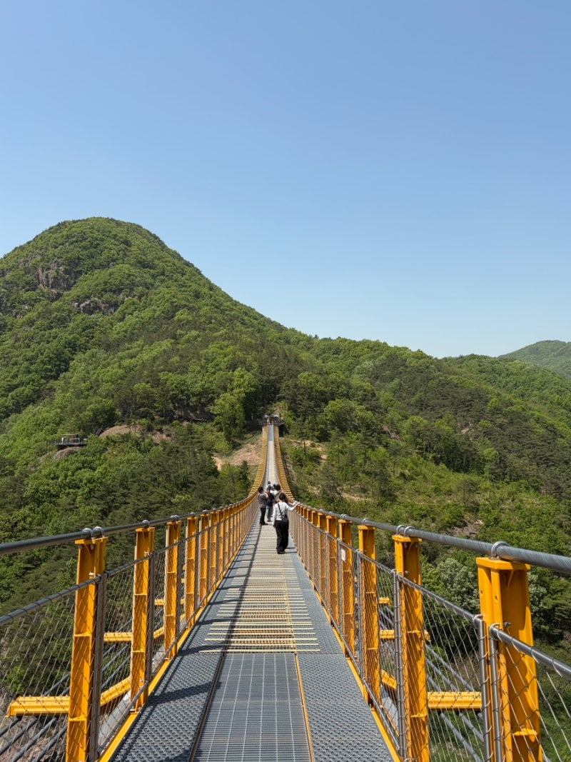 충남 금산군 명소 가볼만한곳 월영산 출렁다리 코스 여울목 카페 화덕피자 맛집 대전 근교 ....