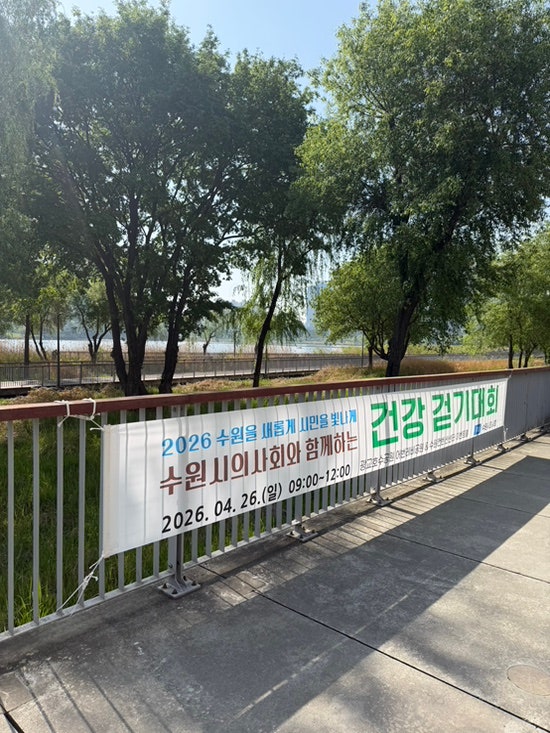 사진 5
