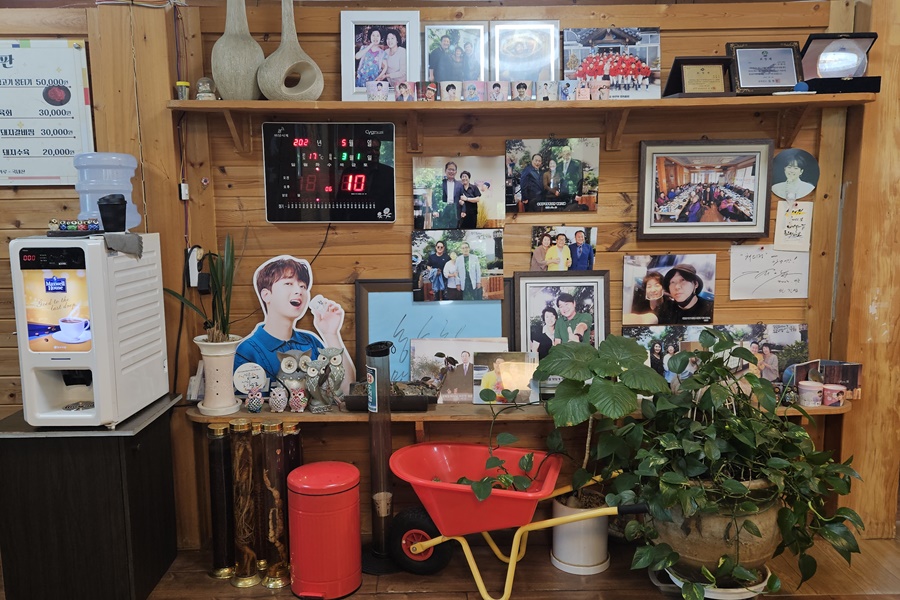 채미정 사진 5
