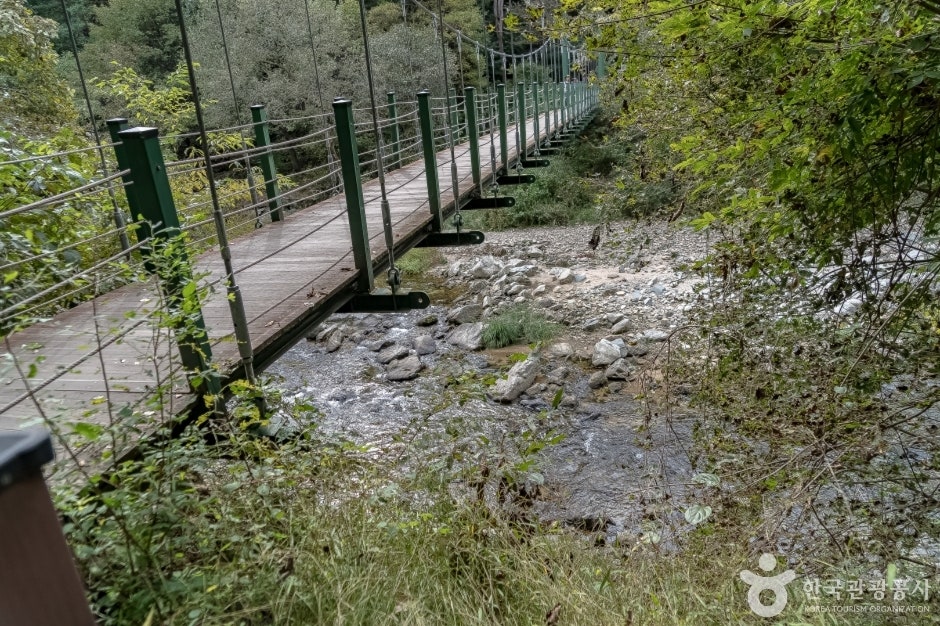 설레임 사진 3