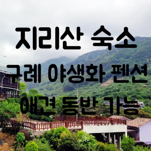 야생화펜션 — 구례군