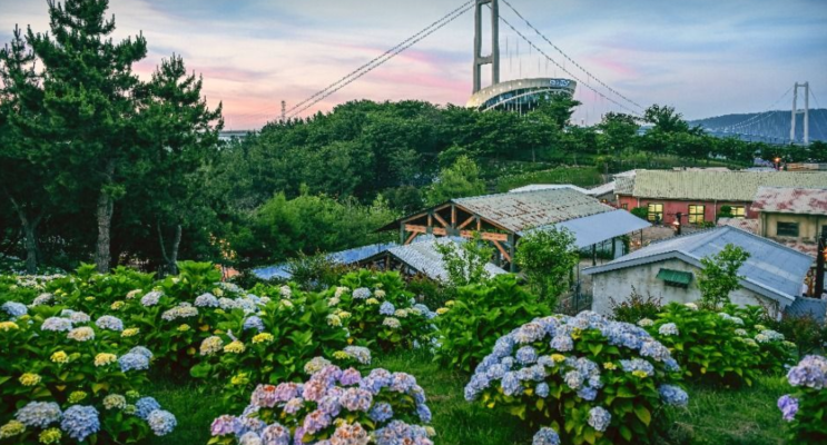 식당맛집, 국내수국명소 <b>공주</b> 유구색동수국정원 꽃 축제, 불암산