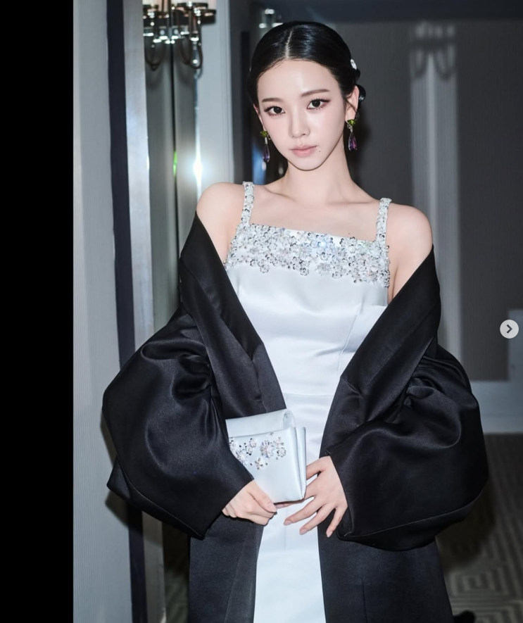  에스파 카리나·닝닝, 멧 갈라 휩쓴 우아미! 프라다·구찌 앰버서더의 눈부신 활약