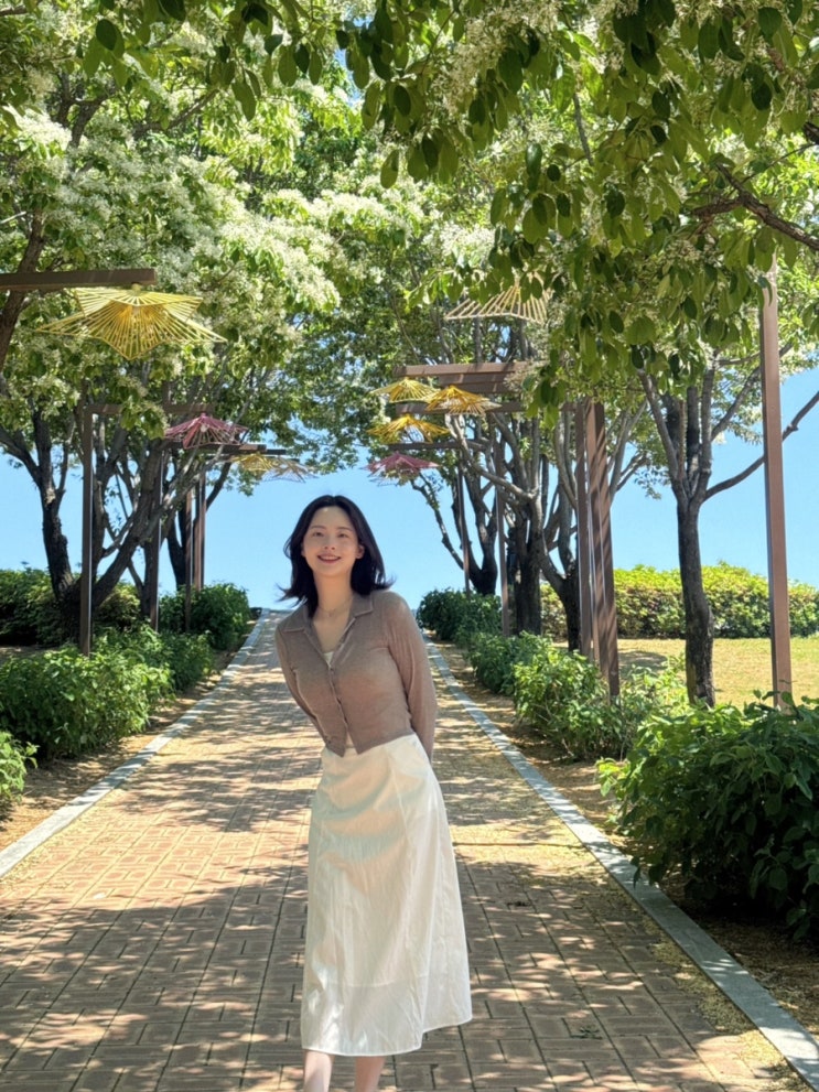 [대구] 해맞이공원｜5월 이팝나무 사진 명소 데이트 추천